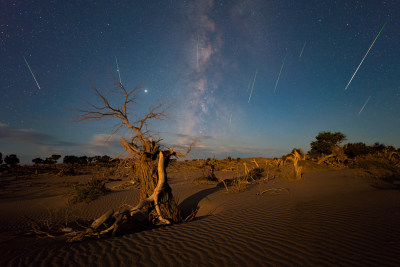 沙漠里的枯树与星空银河流星雨