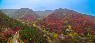 山东济南红叶谷秋天航拍