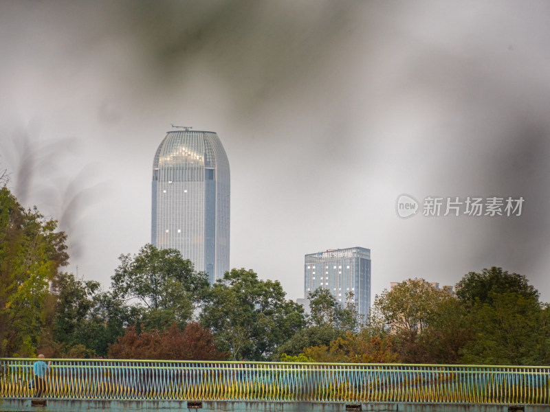 城市中的树木和建筑物顶着天空