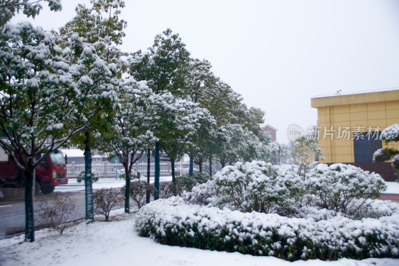 雪景下的静谧街道