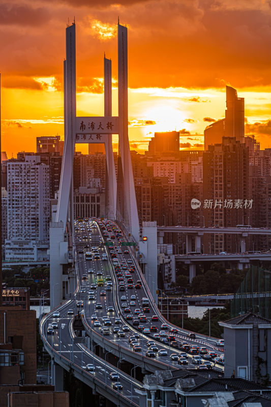上海南浦大桥竖拍