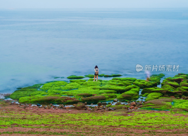 女子站在海边长满青苔的礁石上