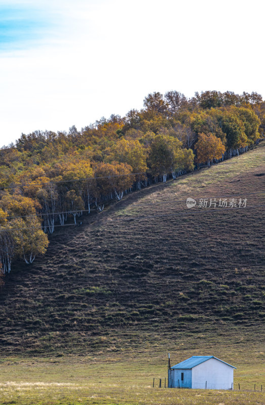 内蒙古乌兰布统草原森林湖泊自然景观