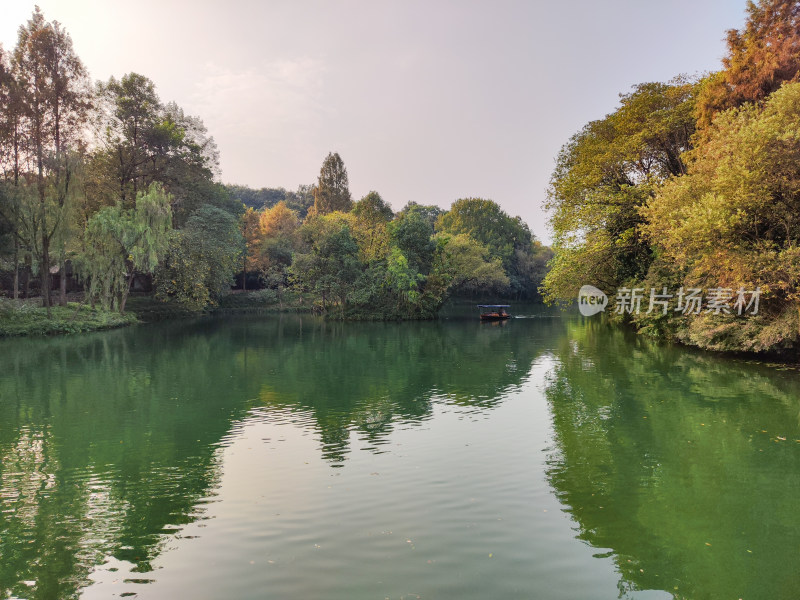 浴鹄湾秋日湖畔树林中的小船风景