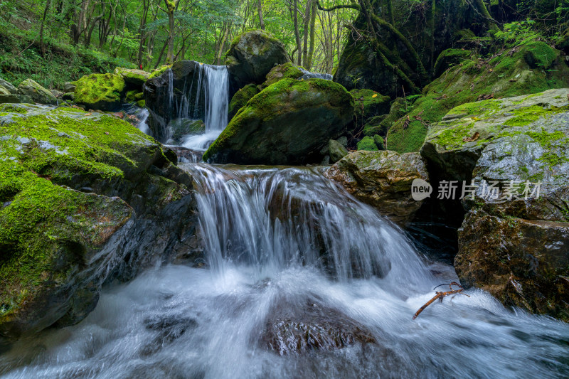 树林间流动小溪