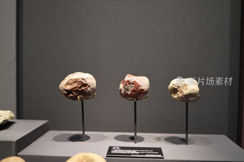 浙江省博物馆新石器时代陶瓷制品最早的彩陶