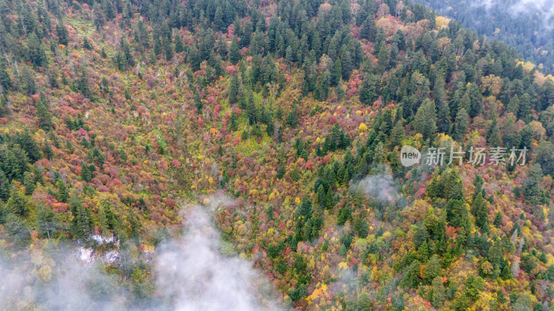 阿坝州黄龙风景名胜区秋色