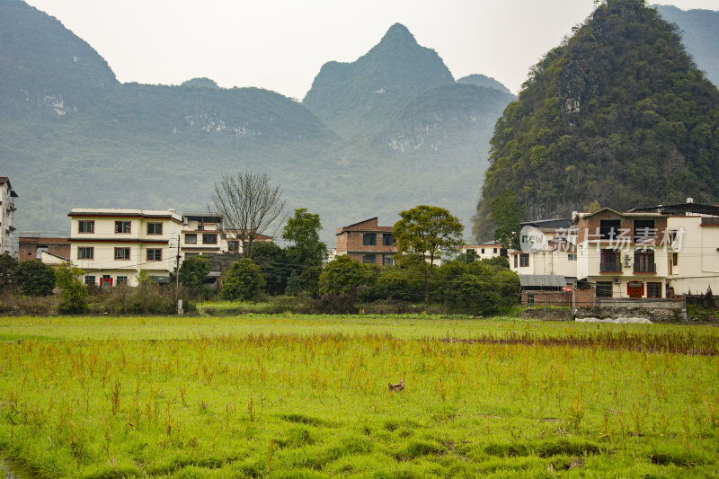 桂林山水田园小镇风光