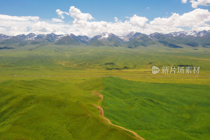 中国新疆伊犁那拉提草原自然风景