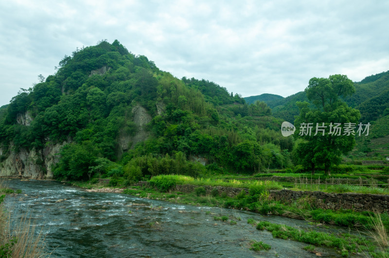 山中的自然风景