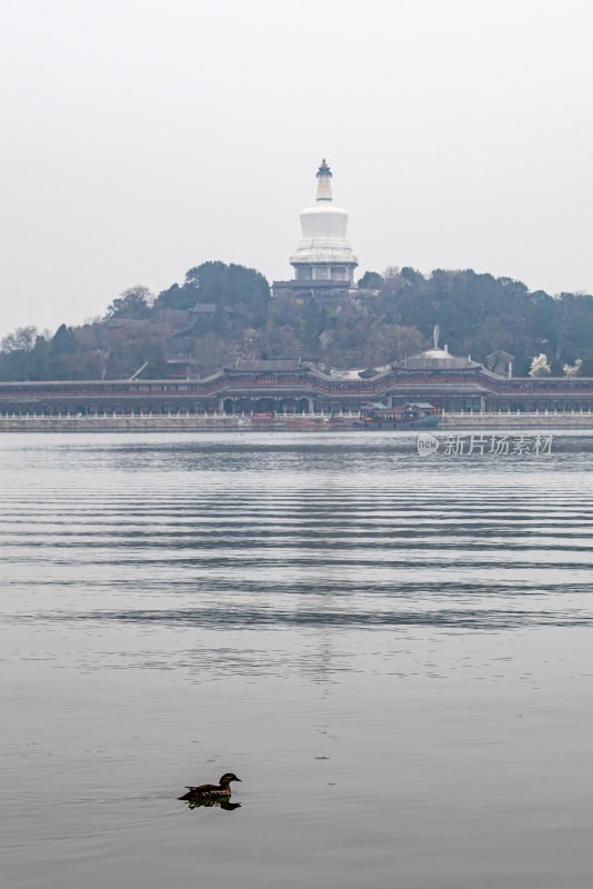 北京北海公园白塔建筑景观