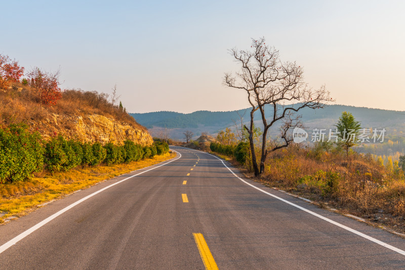 山区公路秋色