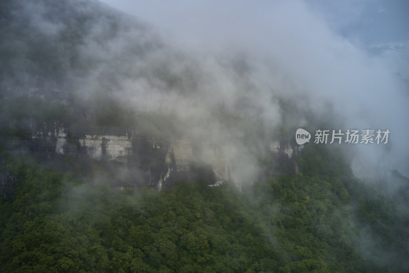 云海中的金佛山