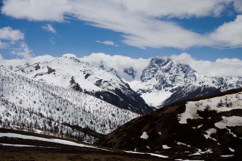 白马雪山