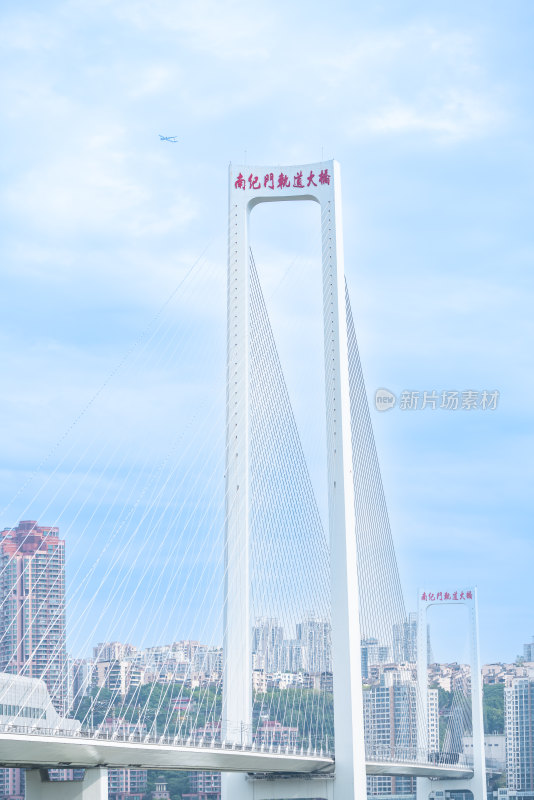 重庆南纪门轨道大桥风光