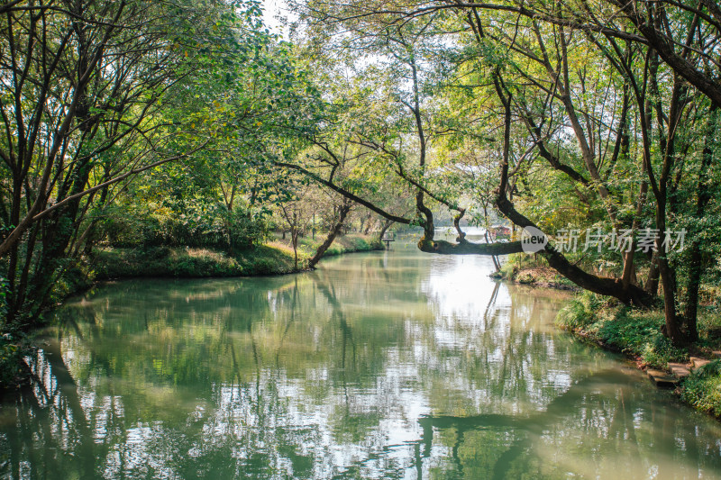 杭州西溪湿地自然风光