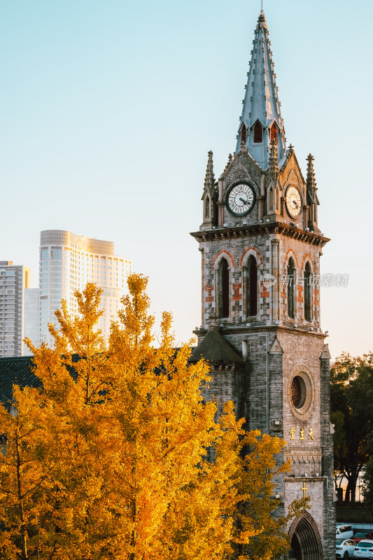 宁波江北天主堂与秋天的银杏