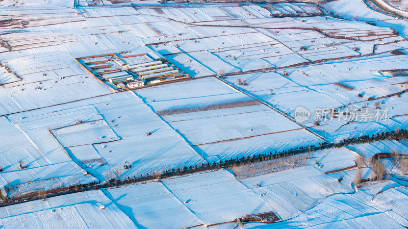 冬季大雪覆盖大地农田航拍