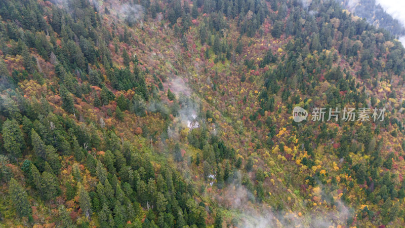 阿坝州黄龙风景名胜区秋色