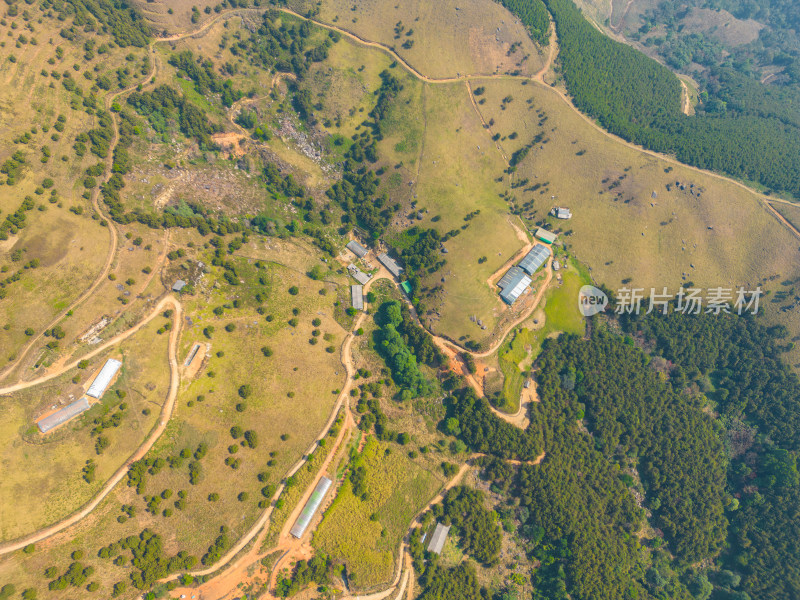 航拍山顶牧场田园风光