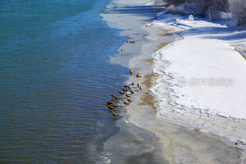 中国西藏冬季拉萨河雪景