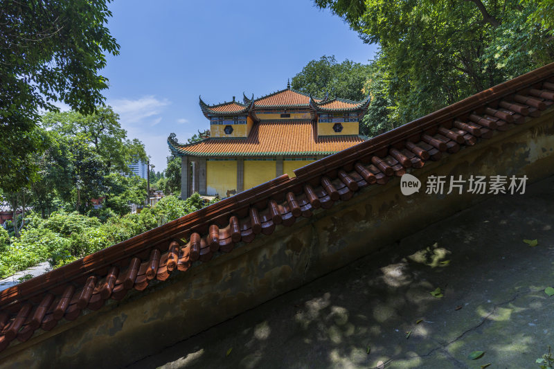 武汉洪山区宝通禅寺风景