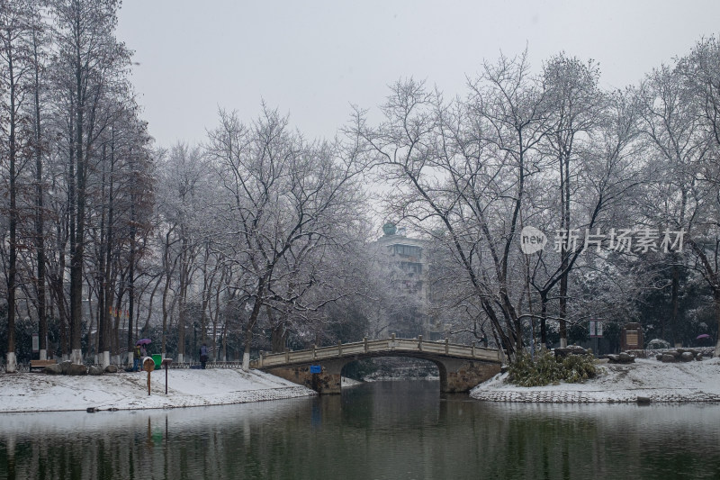 雪中树林小路 冬日唯美自然景观