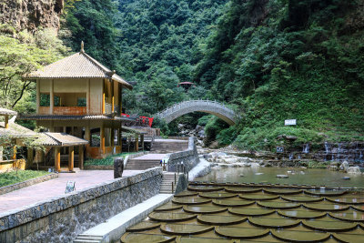 湖北宜昌三峡竹海风景区，自然风光，竹海