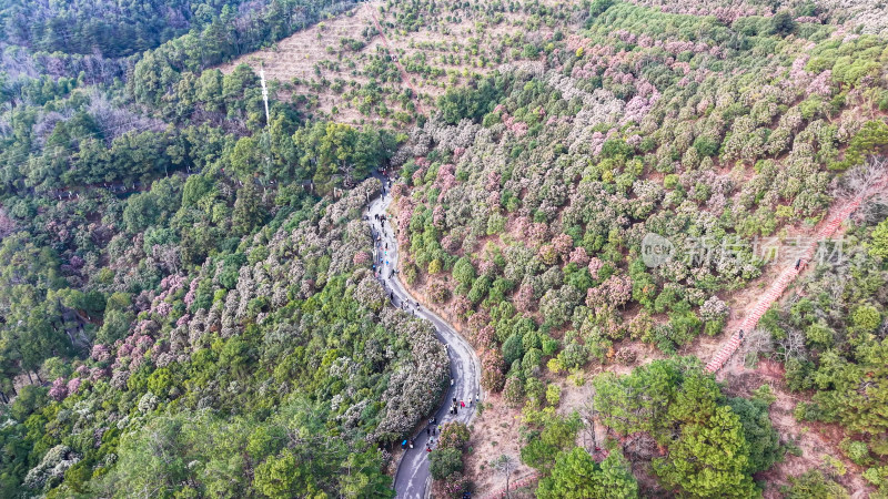 湖南怀化中坡山国家森林公园航拍