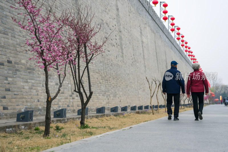 春天户外休闲老人背影