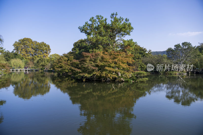 杭州西湖花港观鱼风景