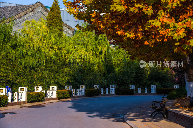 秋日街道旁古建筑与绿植景观