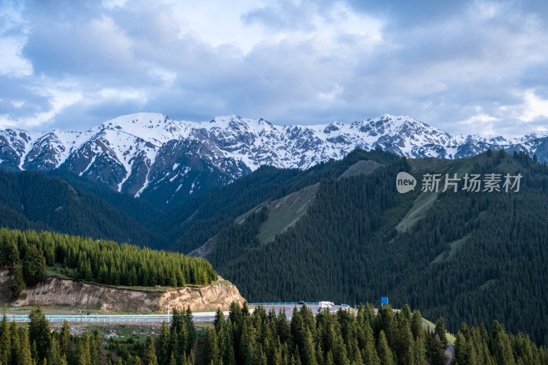 新疆伊犁蓝天白云下的雪山草原森林和公路