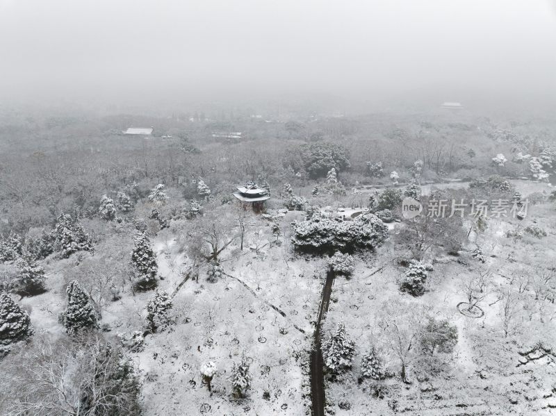 南京明孝陵雪景