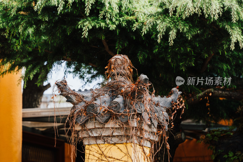 东本愿寺 大连京剧院