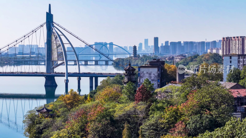 城市桥梁与高楼风景