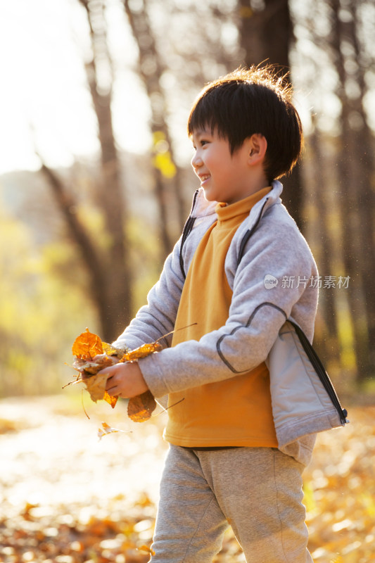 秋天户外男孩玩树叶