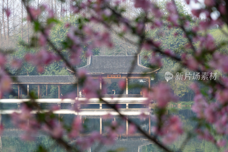 杭州浴鹄湾湖畔古亭与烂漫春花景致