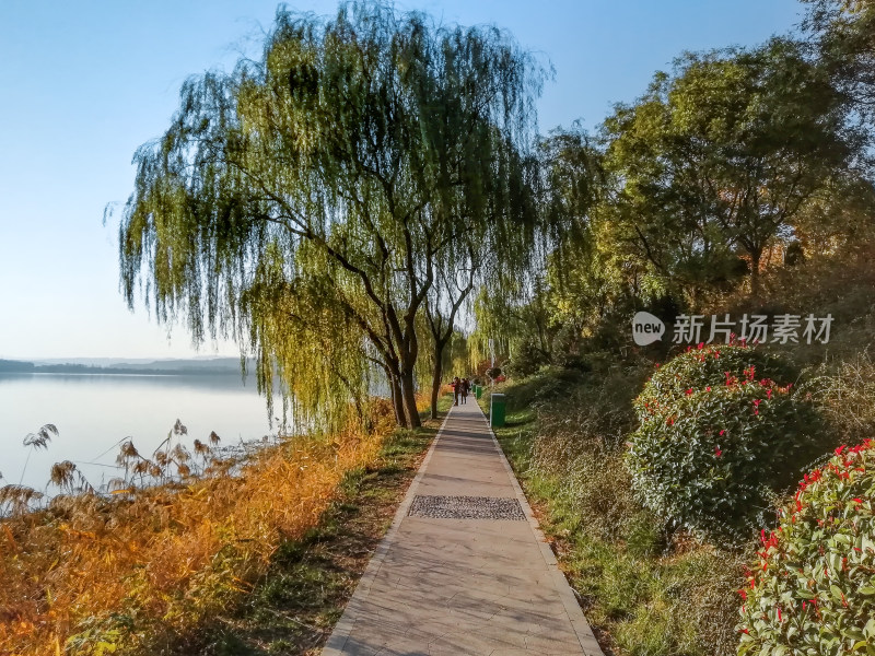 河南省三门峡市天鹅湖风景区