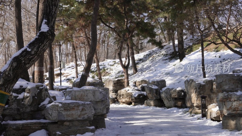 落雪假山石岩石圆明园雪景6