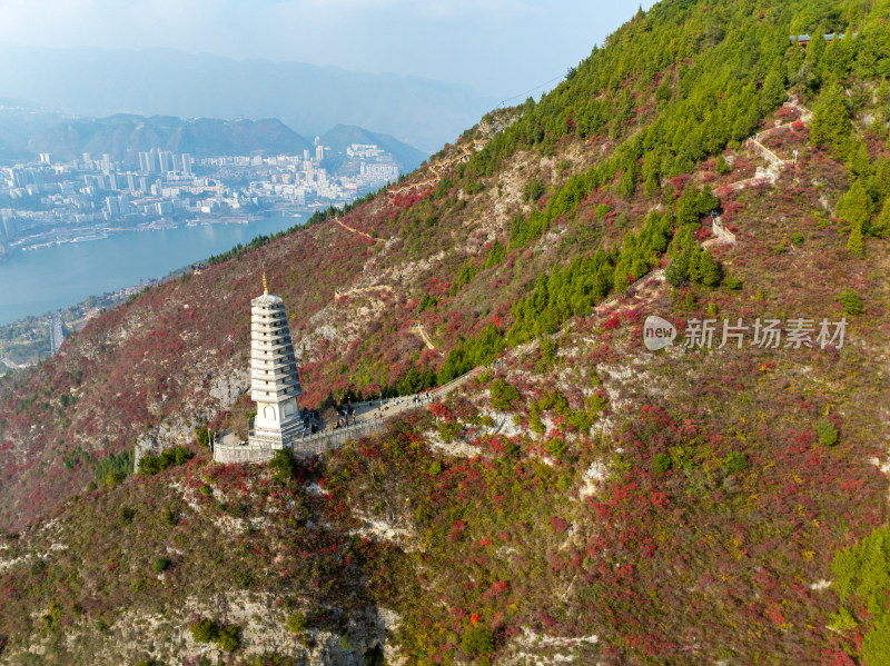 长江三峡巫峡红叶