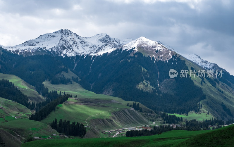 新疆伊犁琼库什台雪山森林草原风光