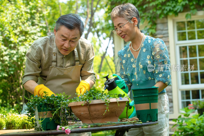 老年夫妇在院子里修剪花草