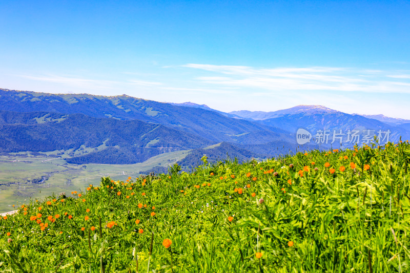 春季新疆大自然山河雪山草原风光