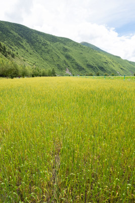 四川甘孜风景