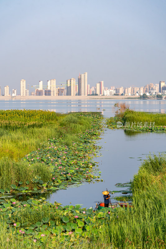 中国邹城孟子湖湖泊湿地渔船自然景观