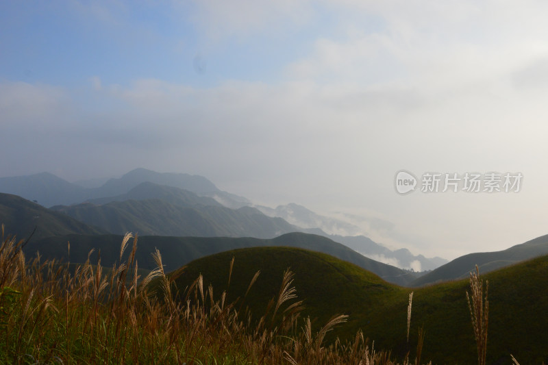 山间草地远景自然风光