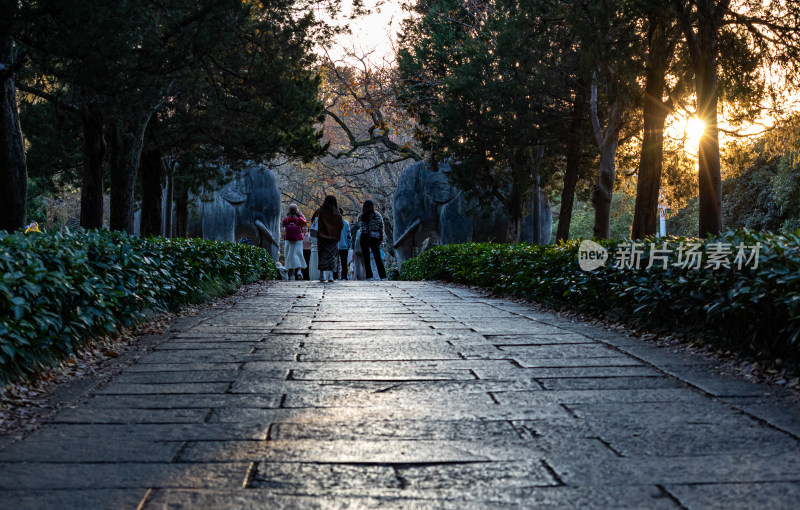 游客参观南京明孝陵石象路神道石像古迹场景