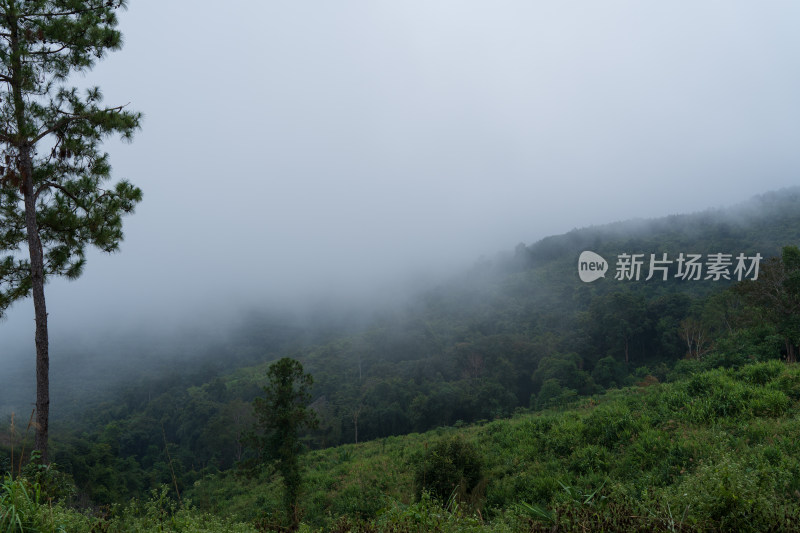 云雾缭绕的山间秘境