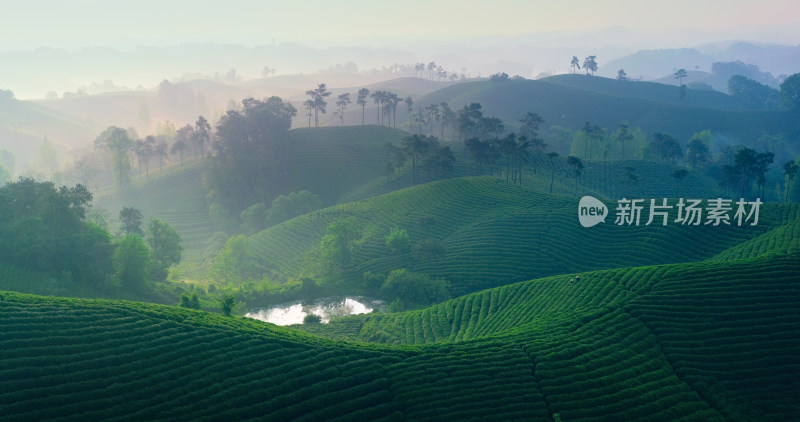 茶园茶山美丽乡村